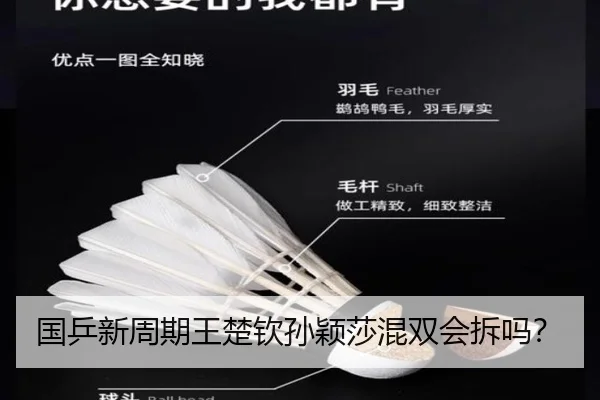 国乒新周期王楚钦孙颖莎混双会拆吗？